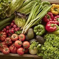 Calidad del Producto La Bodeguita de María Calidad del Producto La Bodeguita de María